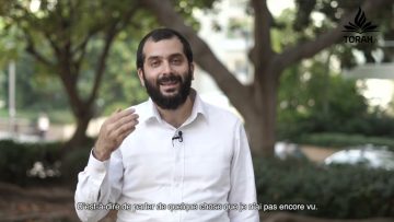 Ne pas se fier aux premières impressions