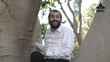 Relations horizontales et relations verticales